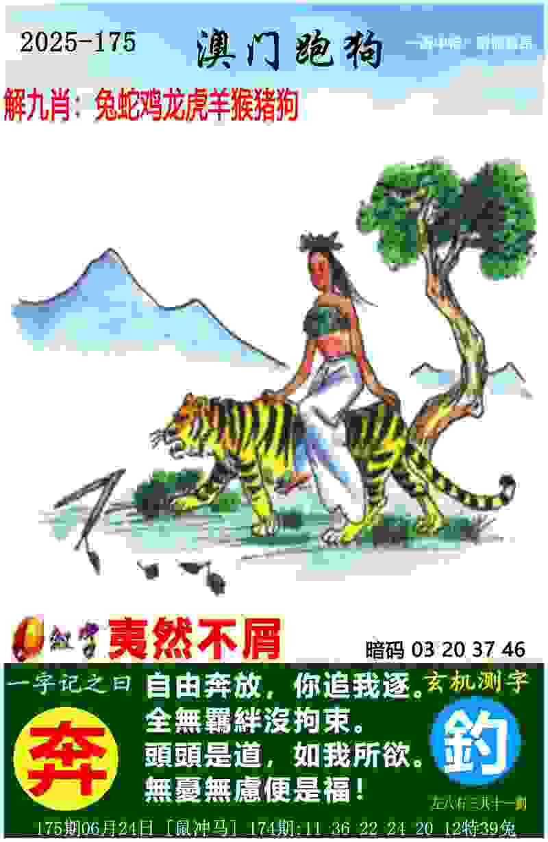 张博恒重夺全国体操锦标赛男子个人全能冠军
