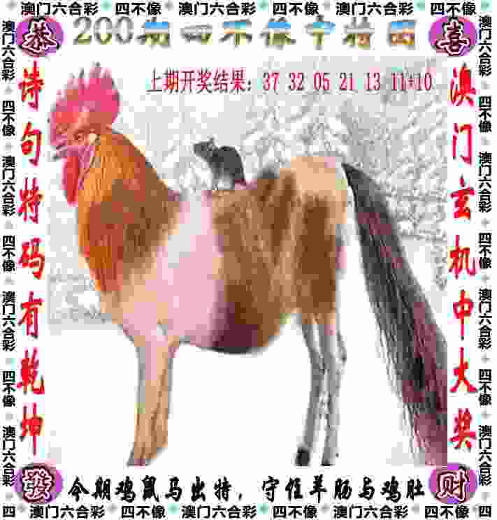 >2025新澳天天开好彩大全,2025天天